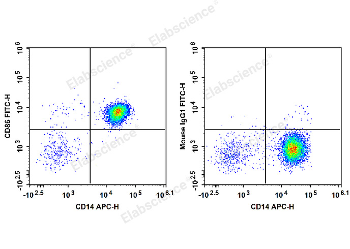 FITC Anti-Human CD86 Antibody[BU63]-1