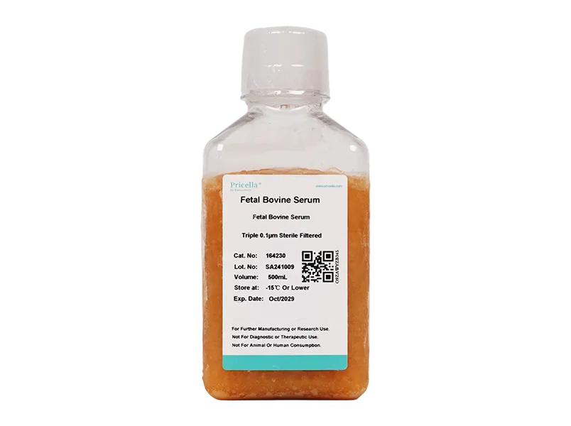 Fetal Bovine Serum