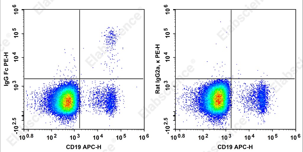 PE Anti-Human IgG Fc Antibody[M1310G05] - 1