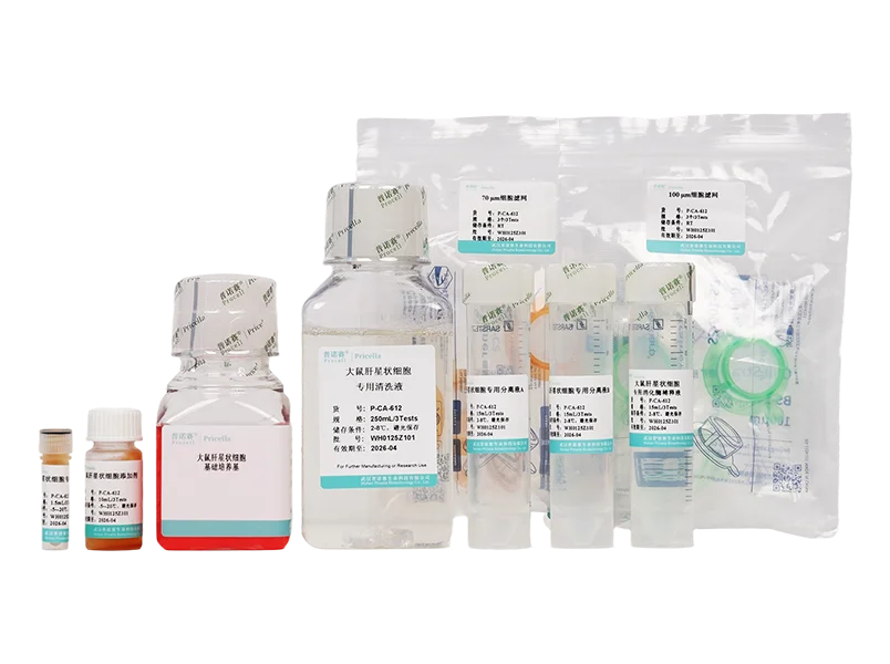https://789.bio/ec/P8RxLK