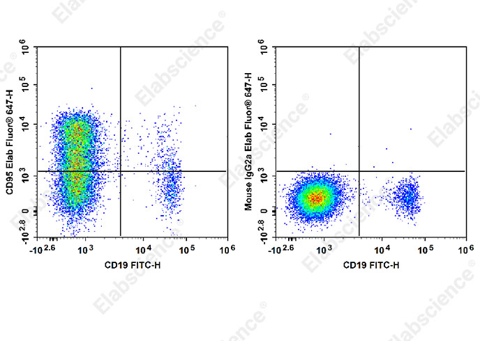Elab Fluor® 647 Anti-Human CD95/Fas Antibody[HFE7A/APO]-1