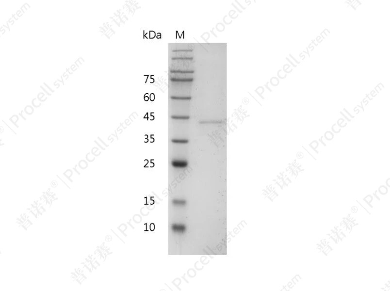 https://789.bio/ec/P8pHlP