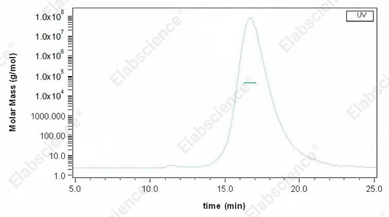 Recombinant Mouse CD64/FCGR1 Protein (His&AVI Tag), Biotinylated - 2