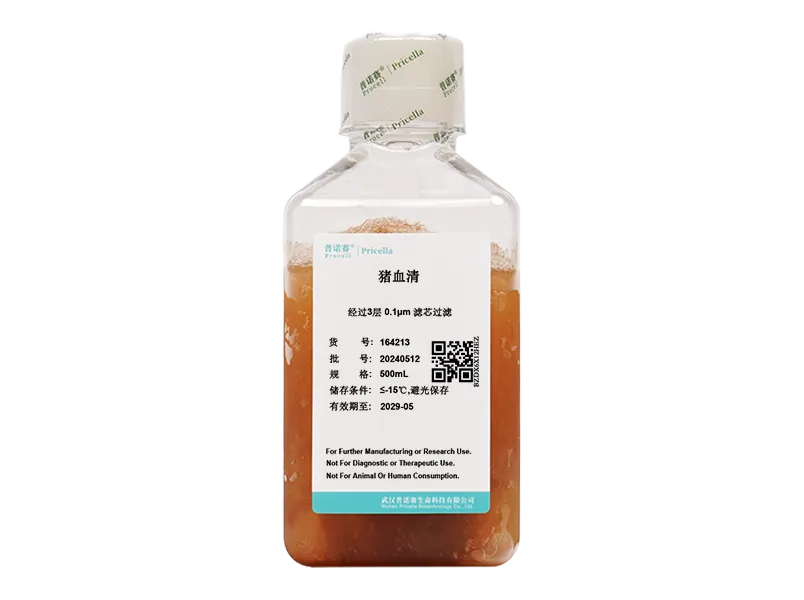 https://789.bio/ec/PCCO8G