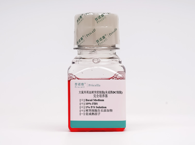 https://789.bio/ec/PCOdH8