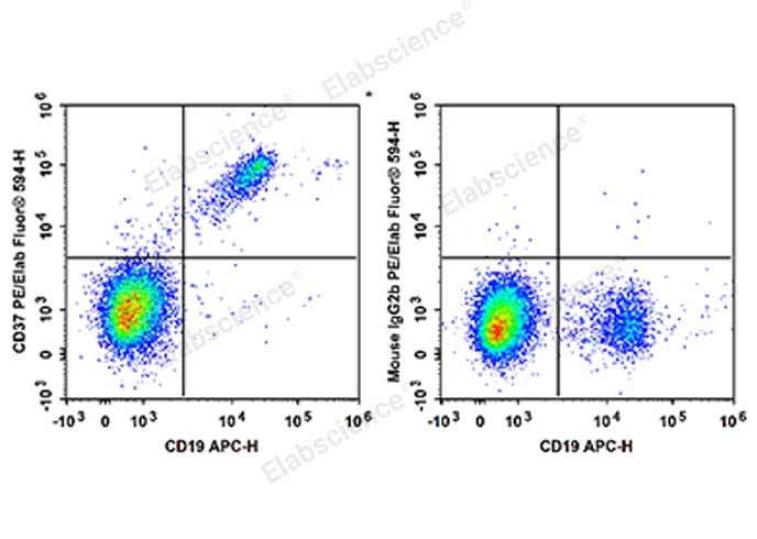 Human peripheral blood lymphocytes are stained with APC Anti-Human CD19 Antibody and PE/Elab Fluor® 594 Anti-Human CD37 Antibody (Left). Lymphocytes are stained with APC Anti-Human CD19 Antibody and PE/Elab Fluor® 594 Mouse IgG2b, κ Isotype Control (Right).