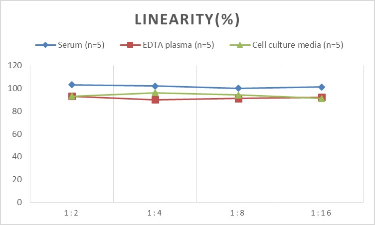 QuicKey Pro Rabbit Pg(Progesterone) ELISA Kit-产品推荐-1
