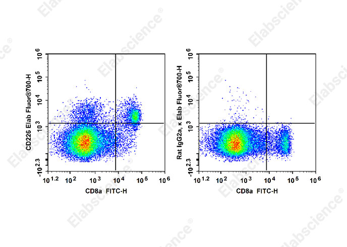 Purified Anti-Mouse MHC II (I-A/I-E) Antibody[M5/114]-产品推荐-3