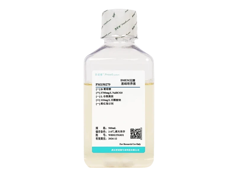 https://789.bio/ec/PHSZGj5S