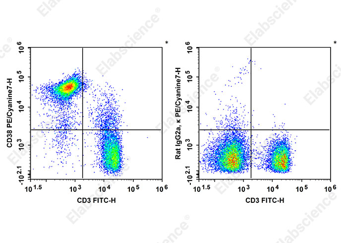 PE/Cyanine7 Anti-Mouse CD38 Antibody[90]-searchlist-1