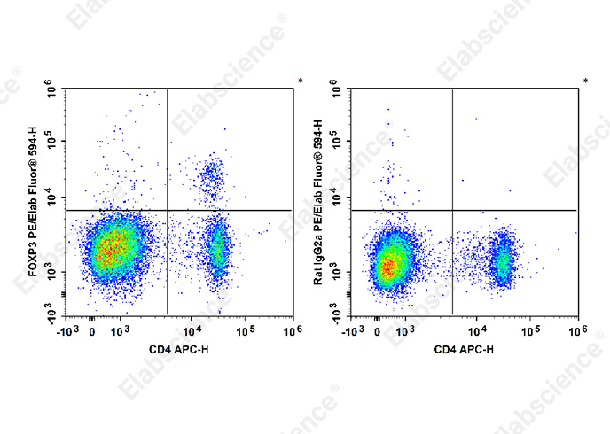 PE/Elab Fluor® 594 Anti-Mouse/Rat Foxp3 Antibody[FJK-16s]-1