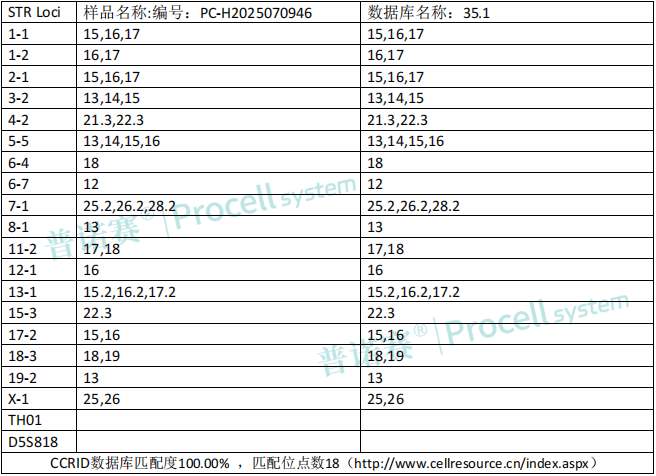 photo1