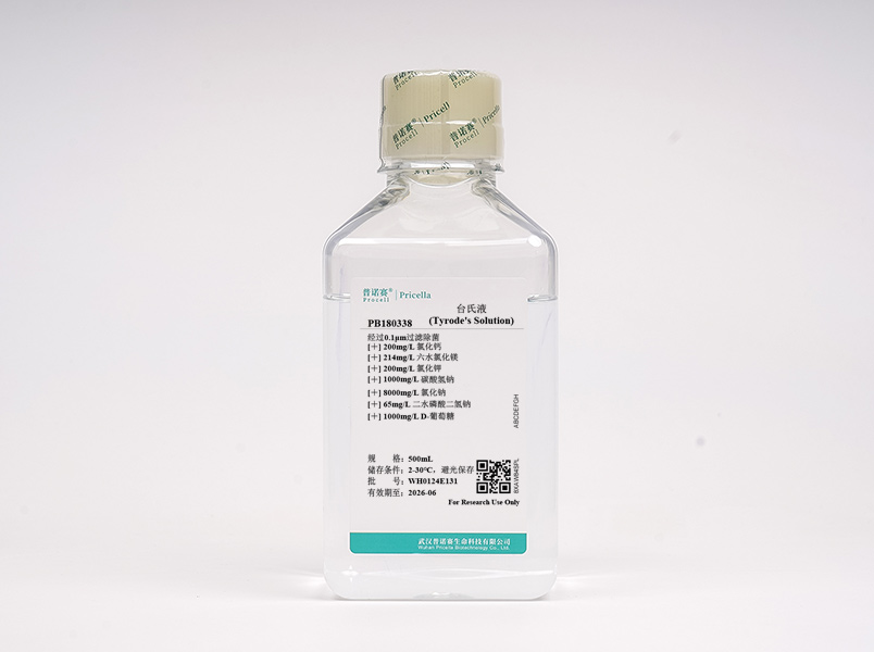https://789.bio/ec/PO0hL8