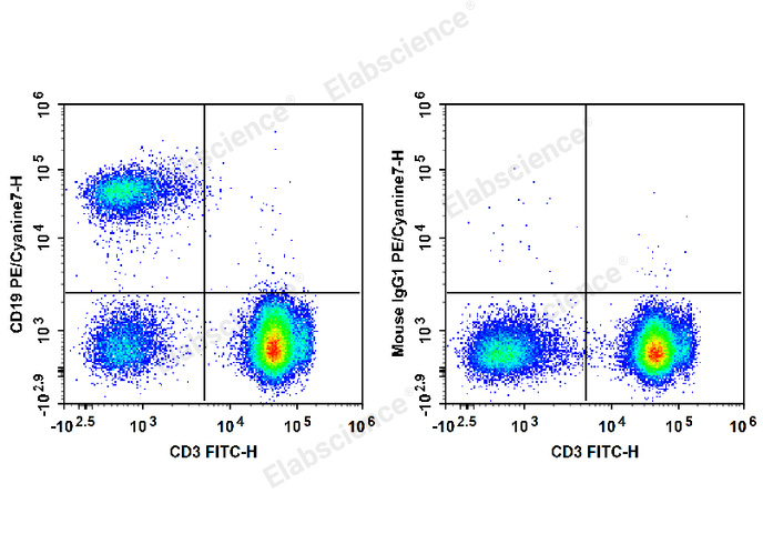 Human peripheral blood lymphocytes are stained with FITC Anti-Human CD3 Antibody and PE/Cyanine7 Anti-Human CD19 Antibody (Left). Lymphocytes are stained with FITC Anti-Human CD3 Antibody and PE/Cyanine7 Mouse IgG1, κ Isotype Control (Right).