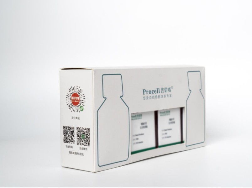 https://789.bio/ec/PRKG4O