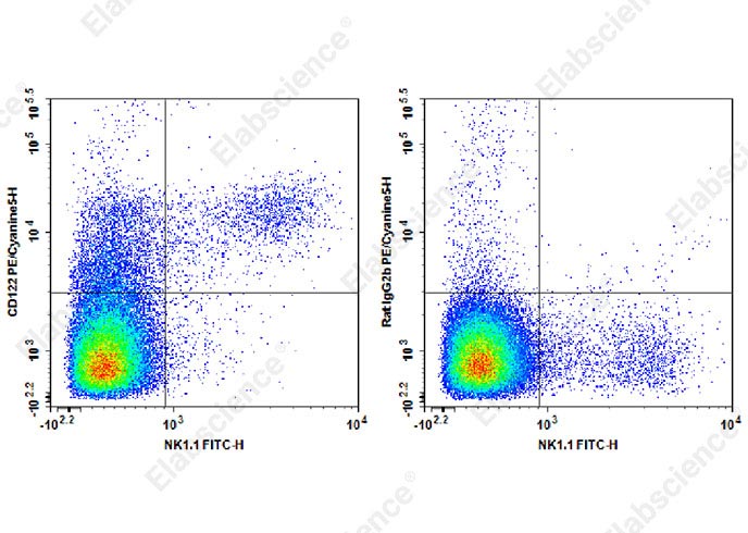 Purified Anti-Mouse CD183/CXCR3 Antibody[CXCR3-173]-产品推荐-1