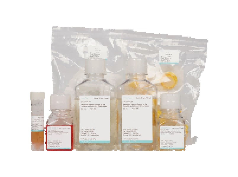 Rat Temporomandibular Joint Chondrocyte Isolation and Culture KitRat Temporomandibular Joint Chondrocyte Isolation and Culture Kit - 2