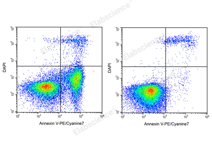 Annexin V-PE/Cyanine7/DAPI Apoptosis Kit-1