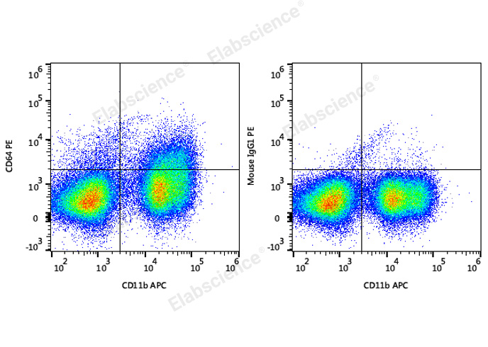 C57BL/6 murine bone marrow cells are stained with APC Anti-Mouse CD11b Antibody and PE Anti-Mouse CD64 Antibody (Left). Bone marrow cells stained with APC Anti-Mouse CD11b Antibody and PE Mouse IgG1, κ Isotype Control (Right) are used as control.