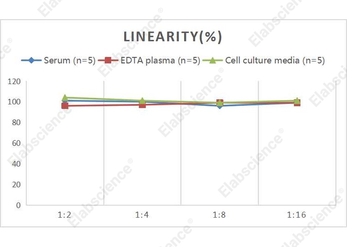 Mini Sample Human KIM-1 (Kidney Injury Molecule 1) ELISA Kit - 2