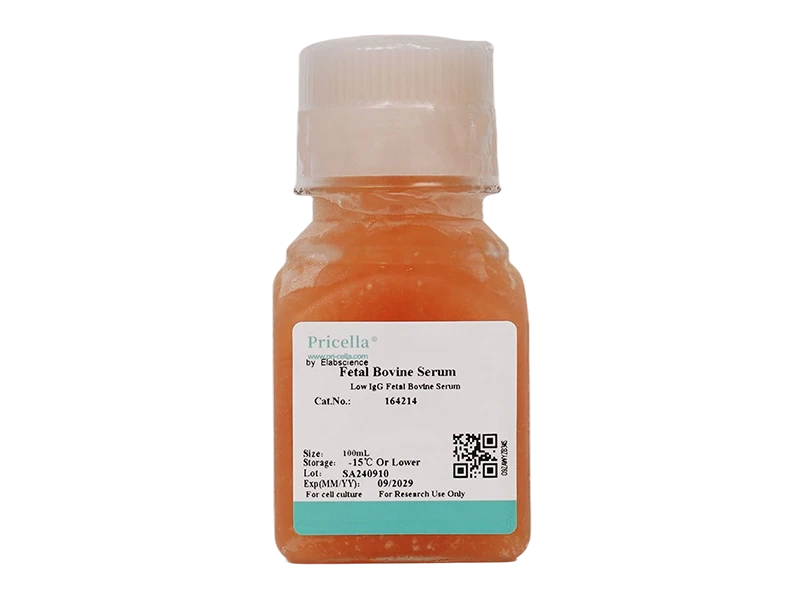 Low IgG Fetal Bovine Serum