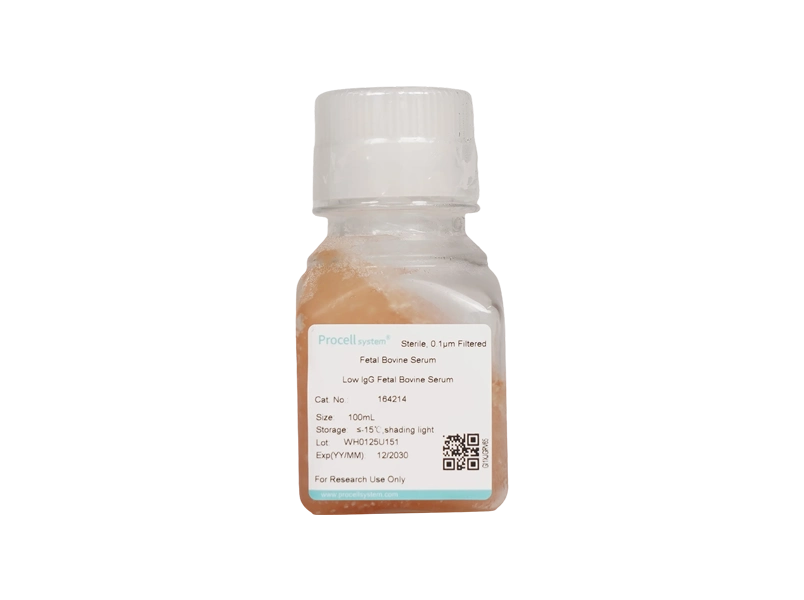 Low IgG Fetal Bovine Serum
