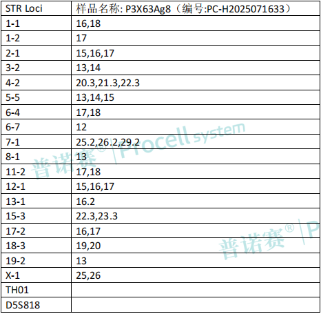 photo1