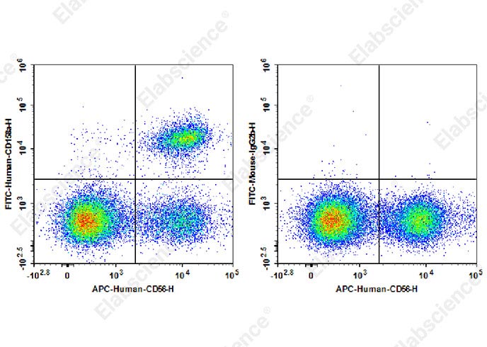 FITC Anti-Human CD158/KIR2DL1 Antibody[HP-MA4]-1