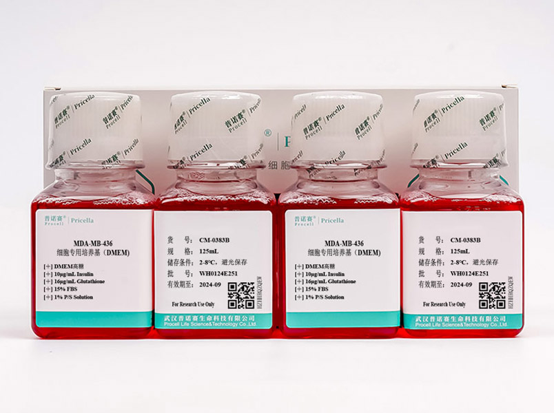 https://789.bio/ec/PZm104