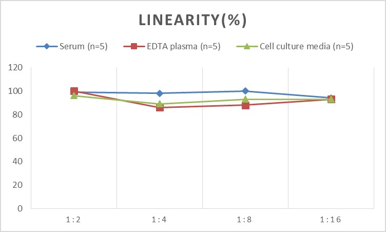 Human MIP-5(Macrophage Inflammatory Protein 5) ELISA Kit - 2