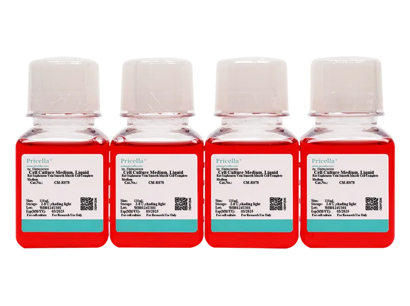 Rat Saphenous Vein Smooth Muscle Cell Complete Medium - small - 4