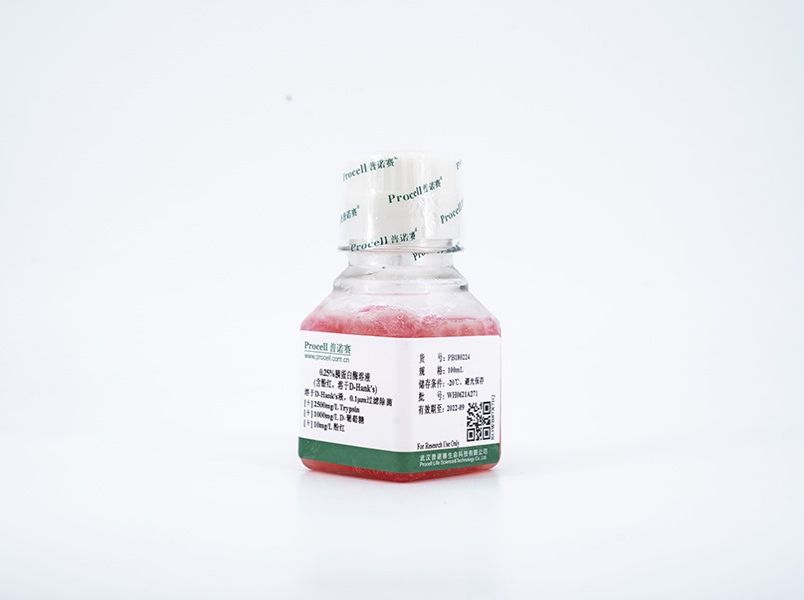 https://789.bio/ec/PdmmeS