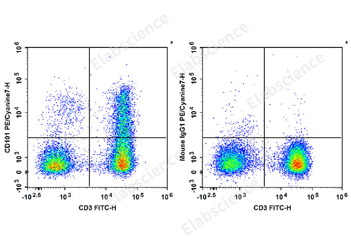 Human peripheral blood lymphocytes are stained with FITC Anti-Human CD3 Antibody and PE/Cyanine7 Anti-Human CD101 Antibody[BB27] (Left). Lymphocytes are stained with FITC Anti-Human CD3 Antibody and PE/Cyanine7 Mouse IgG1, κ Isotype Control (Right).