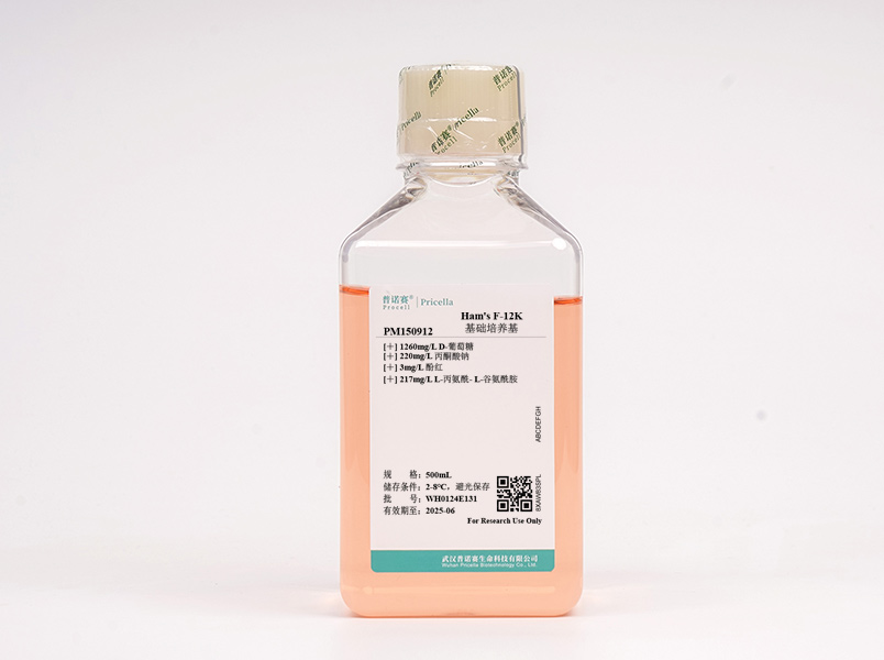 https://789.bio/ec/PhLx1C