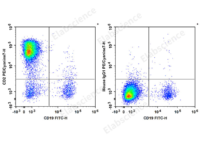 Human peripheral blood lymphocytes are stained with FITC Anti-human CD19 Antibody and PE/Cyanine7 Anti-Human CD2 Antibody[RPA-2.10] (Left). Lymphocytes are stained with FITC Anti-human CD19 Antibody and PE/Cyanine7 Mouse IgG1, κ Isotype Control (Right).