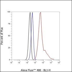 Recombinant TPX2 Monoclonal Antibody - small - 5