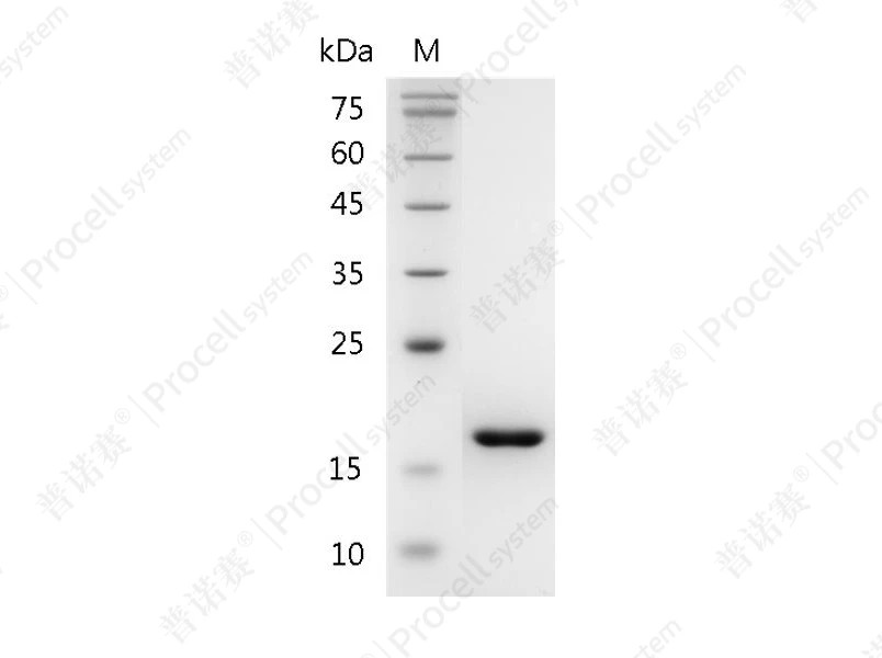 https://789.bio/ec/Pl1lWS
