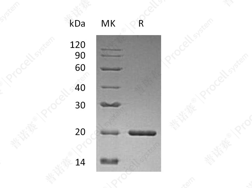 https://789.bio/ec/Pl5d5C
