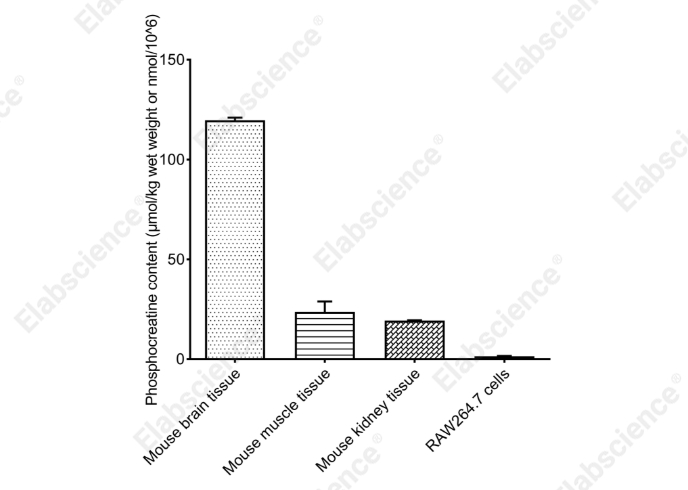 Phosphocreatine (PCr) Fluorometric Assay Kit - 2