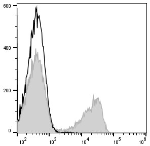 C57BL/6 murine splenocytes are stained with APC Anti-Mouse CD3 Antibody (filled gray histogram). Unstained splenocytes (empty black histogram) are used as control.