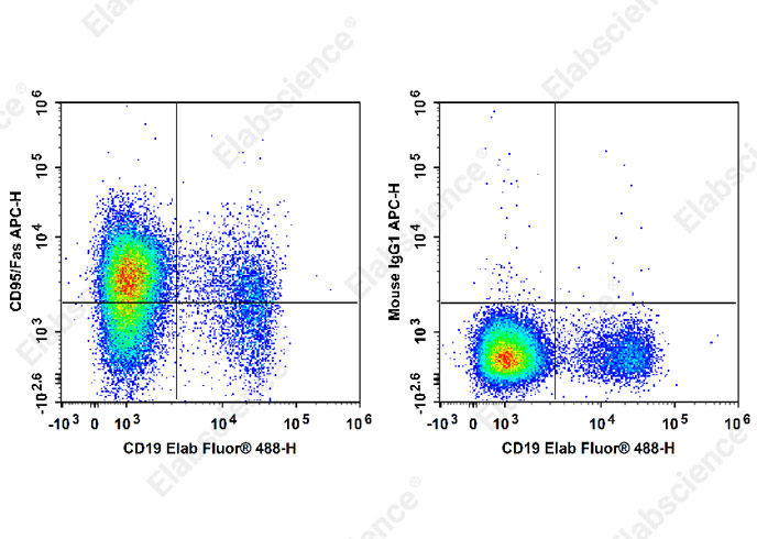 APC Anti-Human CD95/Fas Antibody[DX2]-1