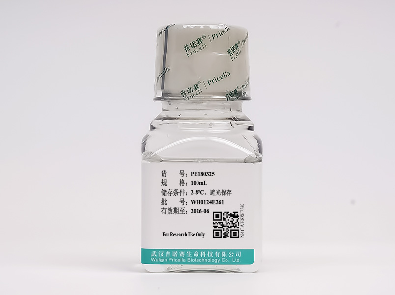 https://789.bio/ec/PpyD80