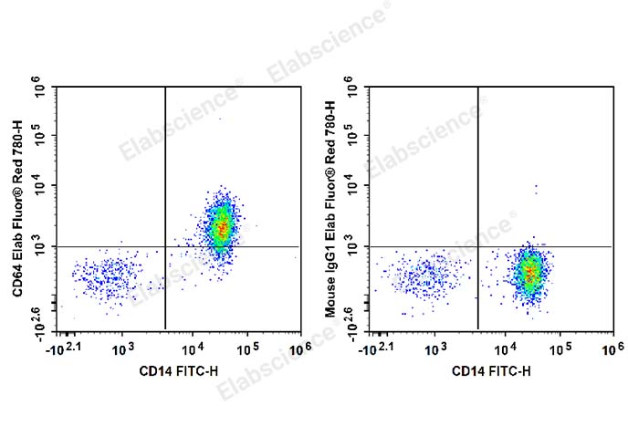 Human peripheral blood monocytes are stained with FITC Anti-Human CD14 Antibody and Elab Fluor® Red 780 Anti-Human CD64 Antibody (Left). Monocytes are stained with FITC Anti-Human CD14 Antibody and Elab Fluor® Red 780 Mouse IgG1, κ Isotype Control (Right).