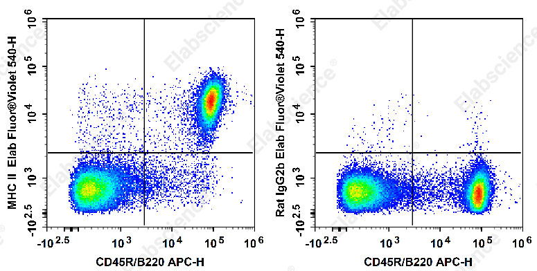 Elab Fluor® Violet 540 Anti-Mouse MHC II (I-A/I-E) Antibody[M5/114]-1