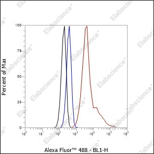 Recombinant TPX2 Monoclonal Antibody - 5