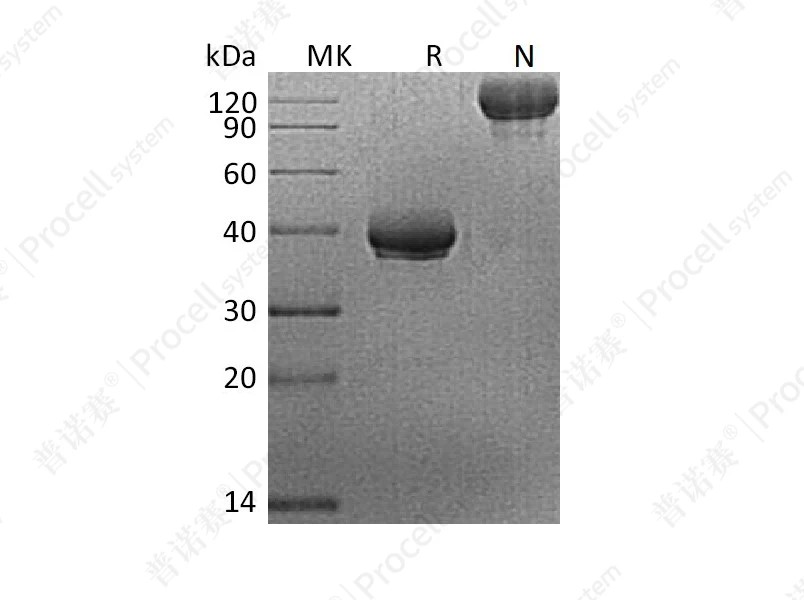 https://789.bio/ec/PtiLRR