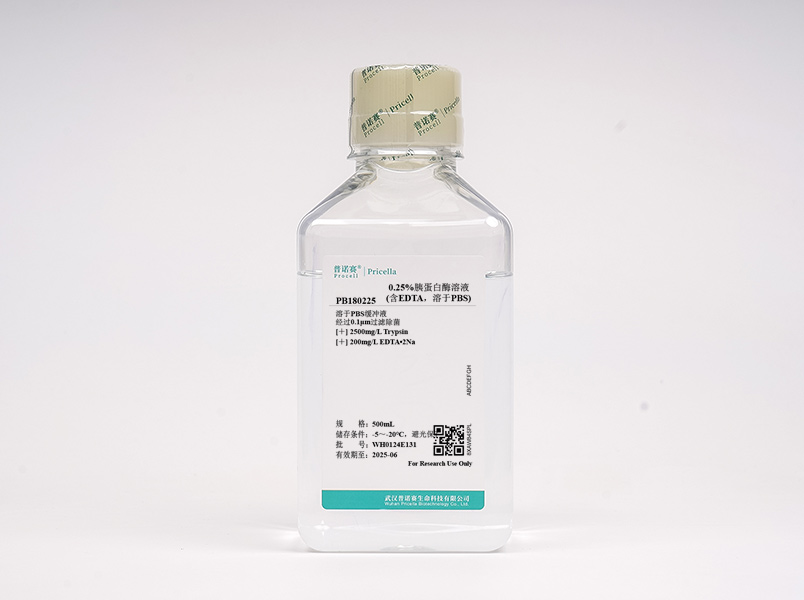 https://789.bio/ec/PtmmDK