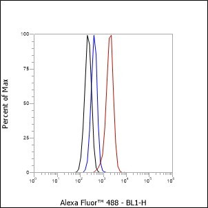 Recombinant Vitronectin/S-Protein Monoclonal Antibody - small - 5