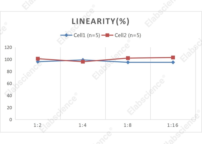 CellaQuant™ Human IL-22 (Interleukin 22) ELISA Kit - 2