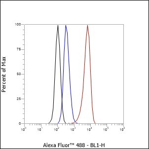 Recombinant SOX1 Monoclonal Antibody - small - 5